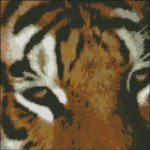 (image for) Tiger Face